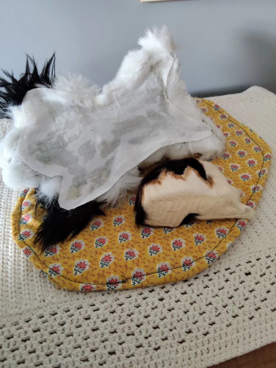 Hond en kat op vintage tapijt – photo 5